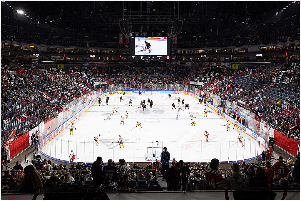 PENNY DEL;  Kölner Haie - Düsseldorfer EG; Köln, 16.12.2022